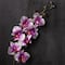 Orchid Spray by Ashland®